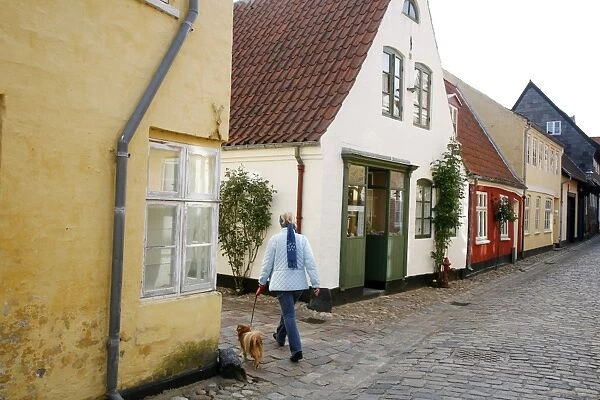 Woman walking with a dog in Ribe historic center, Ribe, Jutland, Denmark