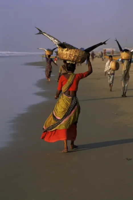 Framed Print : Women carrying fish catch to the market of fishing village Framed Print : Women carrying fish catch to the market of fishing village