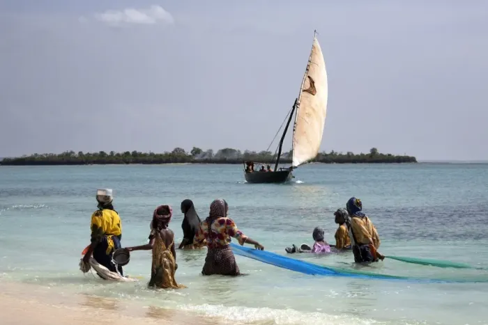 Framed Print : Women fishing on Kendwa Beach, Zanzibar, Tanzania, East Africa, Africa Framed Print : Women fishing on Kendwa Beach, Zanzibar, Tanzania, East Africa, Africa