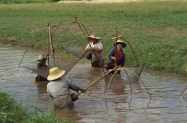 Women fishing with nets in a river near Chiang Mai