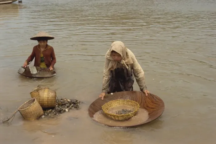 Framed Print : Women panning for gold in the waters of the Mekong River in Vietnam Framed Print : Women panning for gold in the waters of the Mekong River in Vietnam