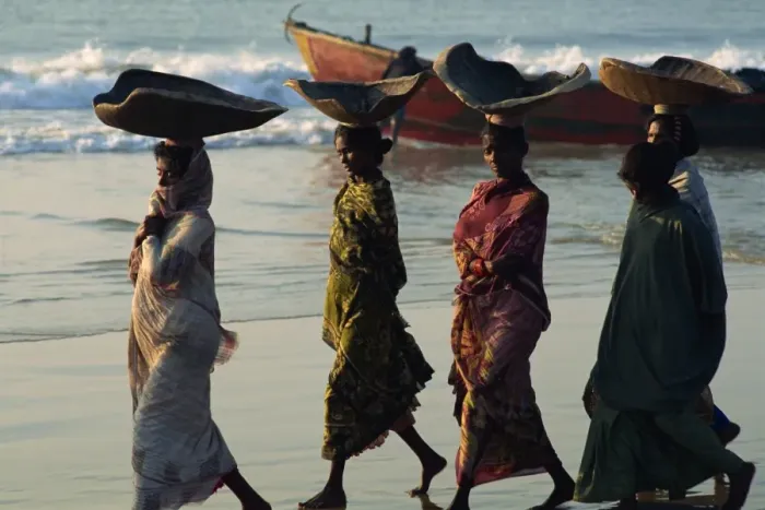 Framed Print : Women using turtle shells to carry fish on their heads