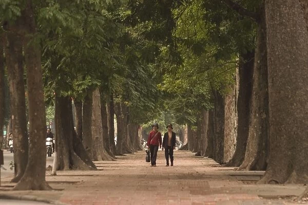 Women walking through avenue of trees