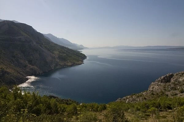The wonderful Dalmatian Coast with forest, Croatia, Europe