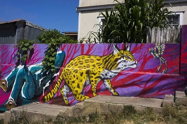 Wonderful graffiti, Valparaiso, UNESCO World Heritage Site, Chile, South America