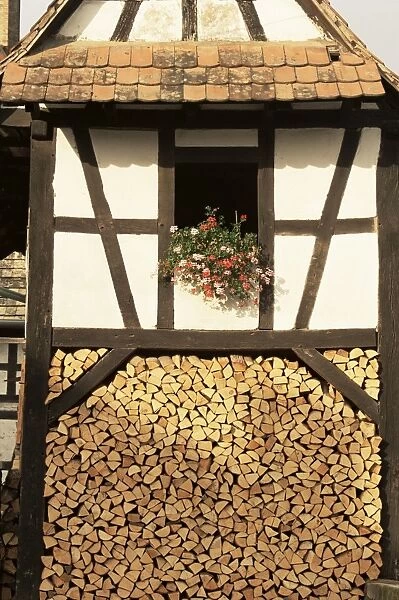 Wood store, near Hunspach, Alsace Lorraine, France, Europe