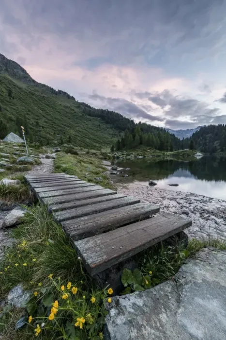 Framed Print : Wood walkway on the shore of Lake Cavloc, Maloja Pass, Bregaglia Valley, Engadine Framed Print : Wood walkway on the shore of Lake Cavloc, Maloja Pass, Bregaglia Valley, Engadine