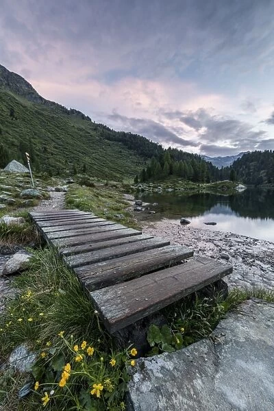 Wood walkway on the shore of Lake Cavloc, Maloja Pass, Bregaglia Valley, Engadine