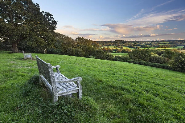 Wooden bench looking over green field countryside of High Weald on summer evening