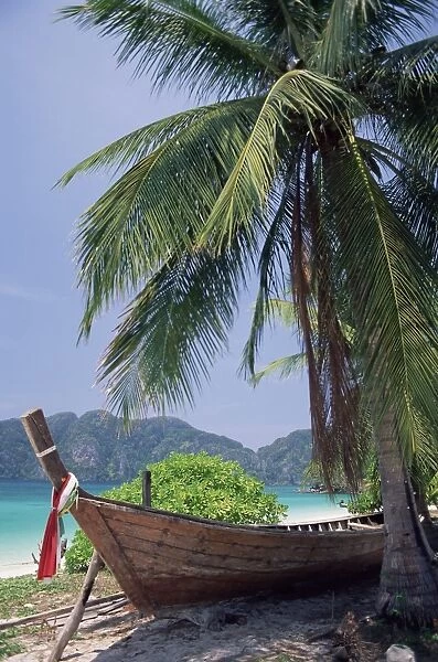 Wooden boat beneath palm trees on beach