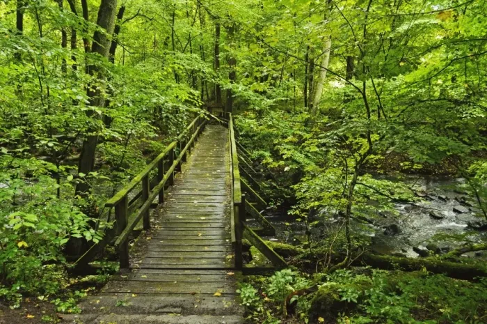 Framed Print : Wooden bridge, Holzbachtal, Westerwald, Rhineland-Palatinate, Germany, Europe Framed Print : Wooden bridge, Holzbachtal, Westerwald, Rhineland-Palatinate, Germany, Europe