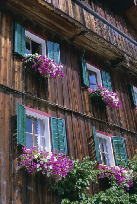 Framed Print : Wooden chalet with flowers, Hallstatt, Austria, Europe Framed Print : Wooden chalet with flowers, Hallstatt, Austria, Europe