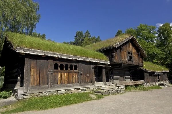 Wooden farm buildings, Norsk Folkemuseum (Folk Museum), in summer sunshine