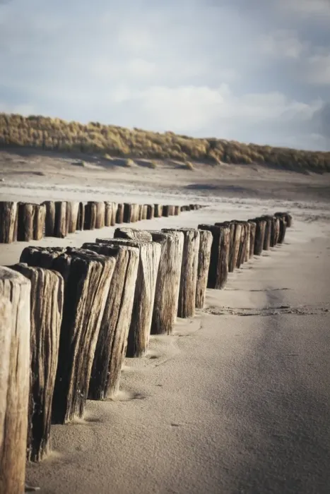 Framed Print : Wooden groynes on a sandy beach, leading to sand dunes, Domburg, Zeeland, The Netherlands, Europe Framed Print : Wooden groynes on a sandy beach, leading to sand dunes, Domburg, Zeeland, The Netherlands, Europe