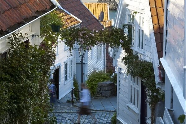 Wooden houses and cobbled streets in Stavangers old town, Stavanger, Rogaland, Norway, Scandinavia, Europe