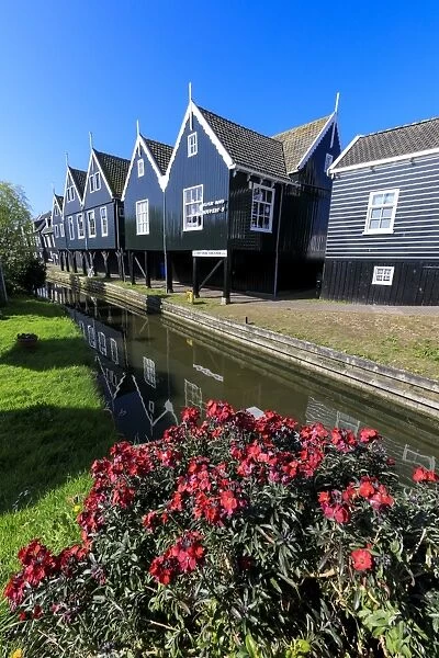 Wooden houses reflected in the canal framed by flowers in the village of Marken, Waterland