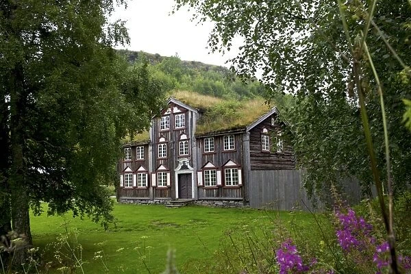 Wooden houses, Trondheim, Norway, Arctic, Scandinavia, Europe