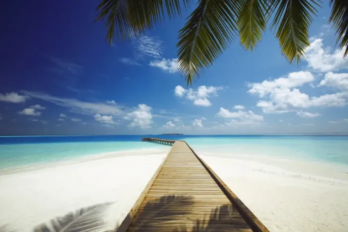 Framed Print : Wooden jetty out to tropical sea, Maldives, Indian Ocean, Asia Framed Print : Wooden jetty out to tropical sea, Maldives, Indian Ocean, Asia
