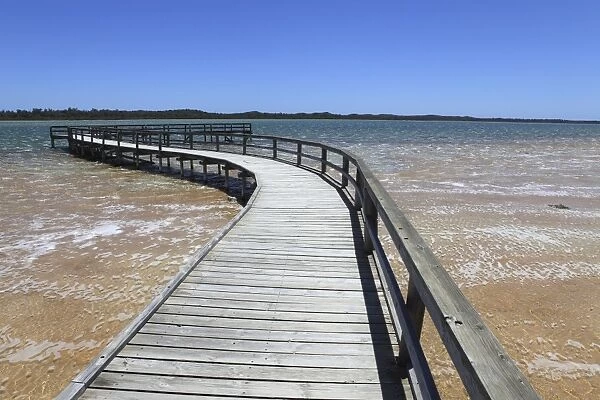 Wooden jetty for viewing Thrombolites in Lake Clifton, Yalgorup National Park, Western Australia, Australia, Pacific
