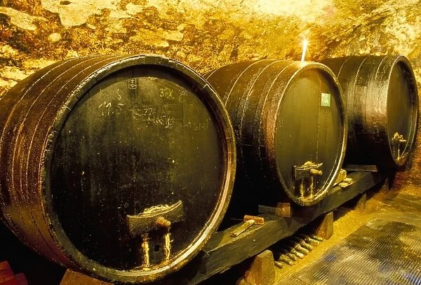 Wooden kegs for ageing wine in cellar of Pavel Soldan