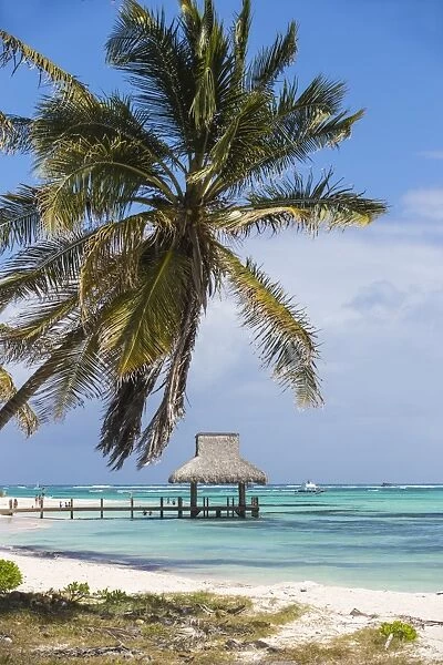 Wooden pier with thatched hut, Playa Blanca, Punta Cana, Dominican Republic, West Indies