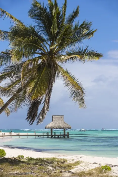 Framed Print : Wooden pier with thatched hut, Playa Blanca, Punta Cana, Dominican Republic, West Indies Framed Print : Wooden pier with thatched hut, Playa Blanca, Punta Cana, Dominican Republic, West Indies