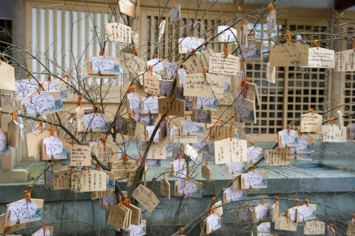 Framed Print : Wooden tablets called ema with messages to god hanging on a tree at a Japanese Shinto shrine Framed Print : Wooden tablets called ema with messages to god hanging on a tree at a Japanese Shinto shrine
