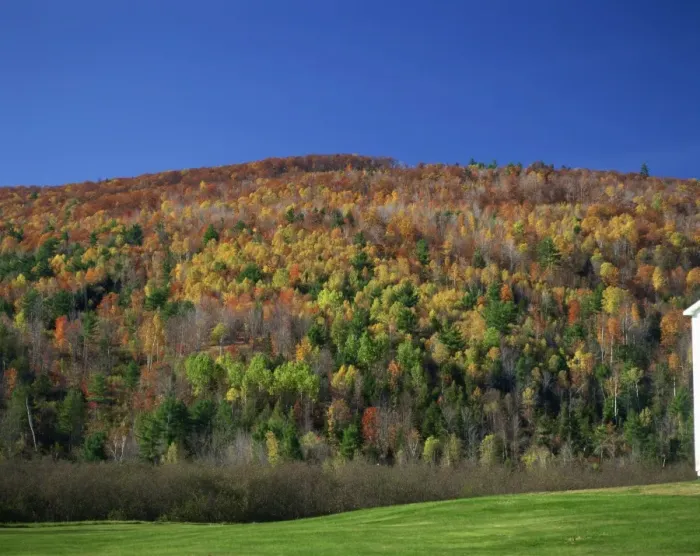 Framed Print : Woodland in fall colours, Vermont, New England, United States of America, North America Framed Print : Woodland in fall colours, Vermont, New England, United States of America, North America