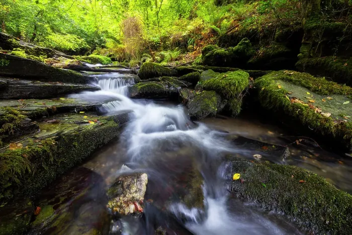 Framed Print : Woodland at St. Nectan's Glen, Threthevy, Tintagel, Cornwall, England, United Kingdom, Europe Framed Print : Woodland at St. Nectan's Glen, Threthevy, Tintagel, Cornwall, England, United Kingdom, Europe