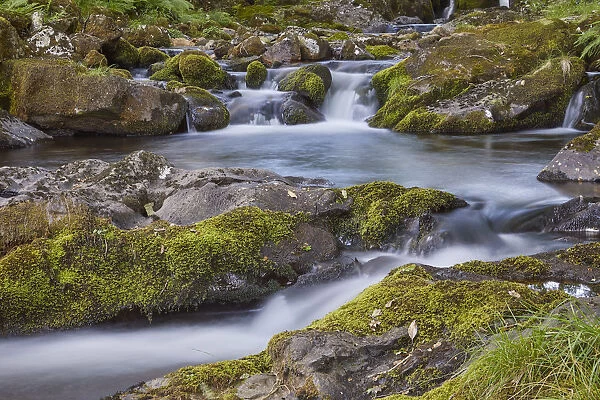 A woodland stream, the East Okement River, flowing off the northern slopes of Dartmoor