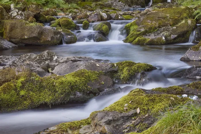 Framed Print : A woodland stream, the East Okement River, flowing off the northern slopes of Dartmoor Framed Print : A woodland stream, the East Okement River, flowing off the northern slopes of Dartmoor