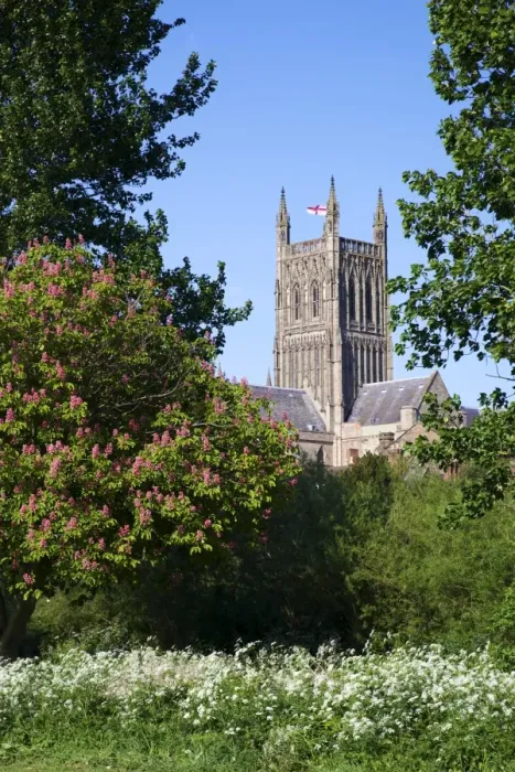 Framed Print : Worcester Cathedral in spring sunshine, Worcester, Worcestershire, England Framed Print : Worcester Cathedral in spring sunshine, Worcester, Worcestershire, England