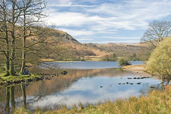 The Wordsworth lake, Rydal Water, Lake District National Park, Cumbria