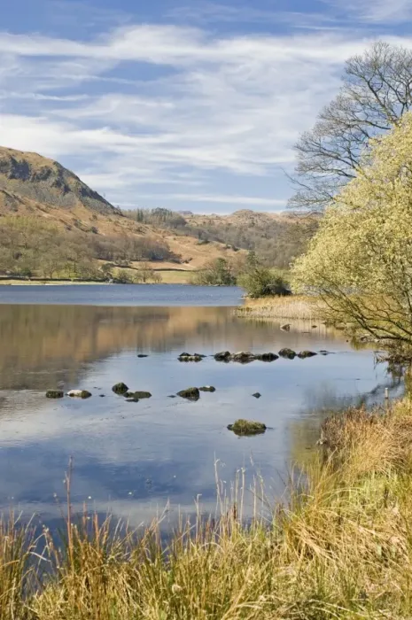 Framed Print : The Wordsworth lake, Rydal Water, Lake District National Park, Cumbria Framed Print : The Wordsworth lake, Rydal Water, Lake District National Park, Cumbria