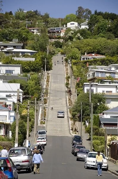 Worlds steepest street, Baldwin Street, Dunedin, Otago, South Island, New Zealand, Pacific