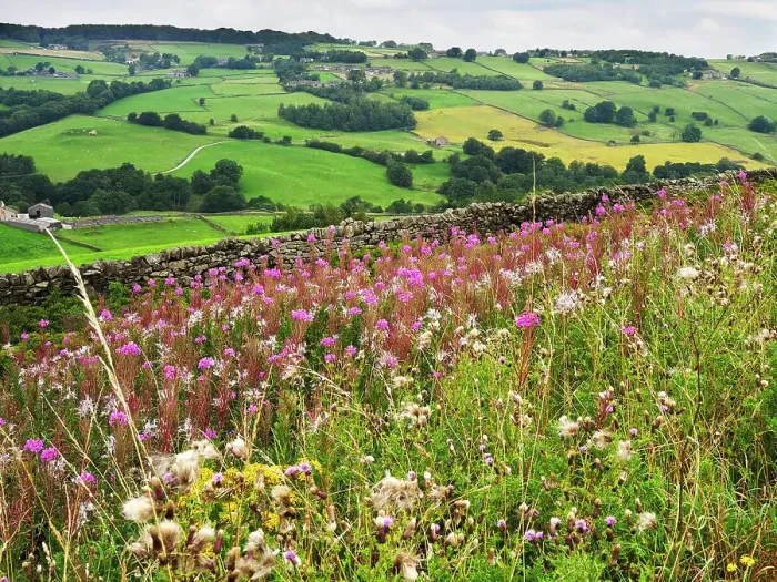 Framed Print : The Worth Valley near Haworth, Yorkshire, England, United Kingdom, Europe Framed Print : The Worth Valley near Haworth, Yorkshire, England, United Kingdom, Europe