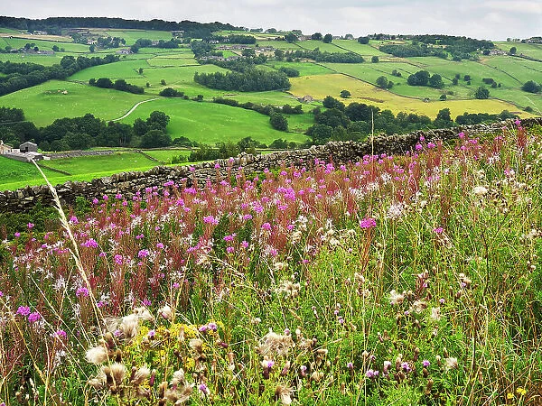 The Worth Valley near Haworth, Yorkshire, England, United Kingdom, Europe