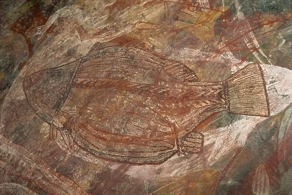X-ray style fish at the Aboriginal rock art site at Ubirr Rock, Kakadu National Park
