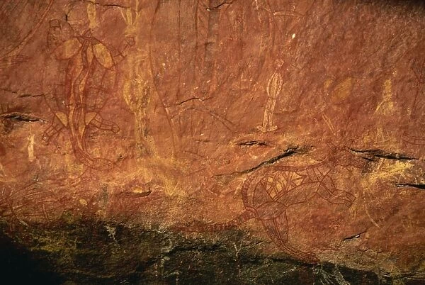 X-ray style fish, turtle, wallaby and white man at the Aboriginal rock art site at Ubirr Rock