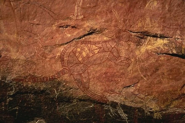 X-ray style painting of a wallaby at the Aboriginal rock art site at Ubirr Rock