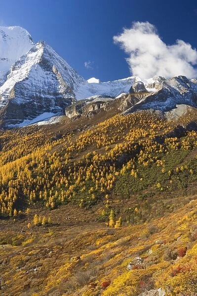Xiannairi mountain, Yading Nature Reserve, Sichuan Province, China, Asia