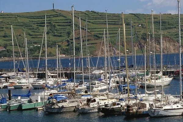 Yacht anchorage, Horta, Faial, Azores, Portugal, Atlantic, Europe