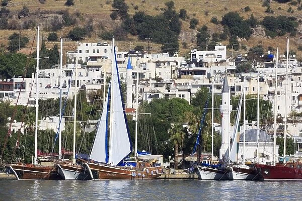 Yacht Marina, Bodrum, Anatolia, Turkey, Asia Minor, Eurasia