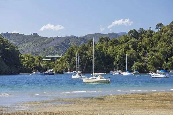Yachts moored in the sheltered harbour, Ngakuta Bay, near Picton, Marlborough, South Island