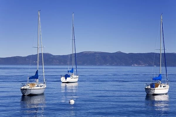 Yachts in Tahoma on Lake Tahoe, California, United States of America, North America