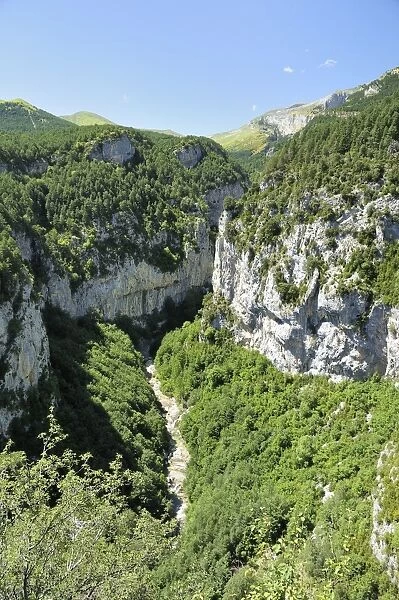 Yaga River and karst limestone cliffs of Escuain gorge, Ordesa and Monte Perdido National Park, Huesca, Aragon, Spain, Europe