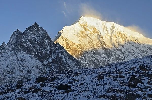 Yak and Langtang Lirung at sunrise, Langtang National Park, Bagmati, Central Region (Madhyamanchal), Nepal, Himalayas, Asia