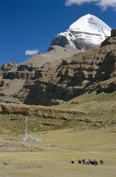 Yak train approaches Tarboche, prayer flag pole in Lha Chu canyon, on the kora round sacred mountain, Mount Kailas (Kailash), Tibet