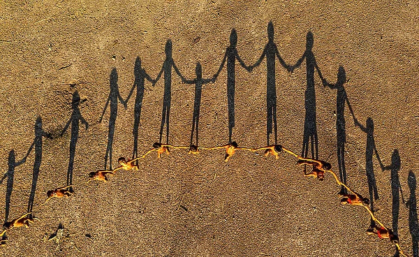 Yanomami children lining up creating a circle, and shadows, Yanomami tribe, southern Venezuela, South America