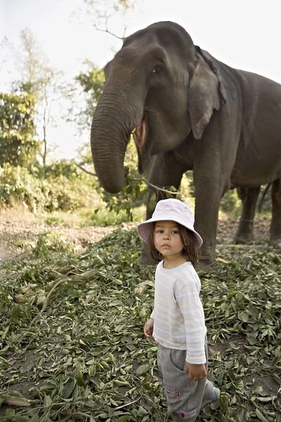 Two year old girl and the elephant that will take her on safari